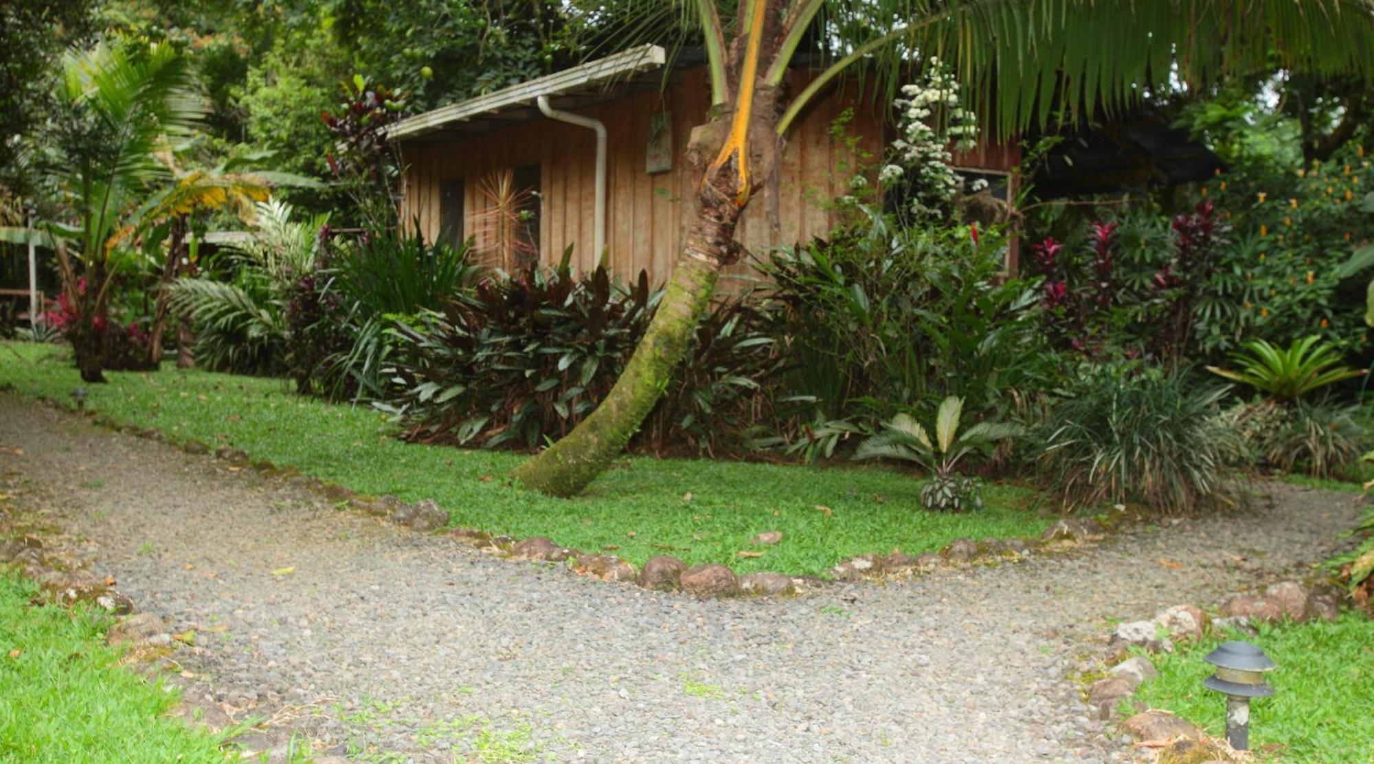 Casa Rio Blanco Eco Friendly B&B Guápiles Exterior foto