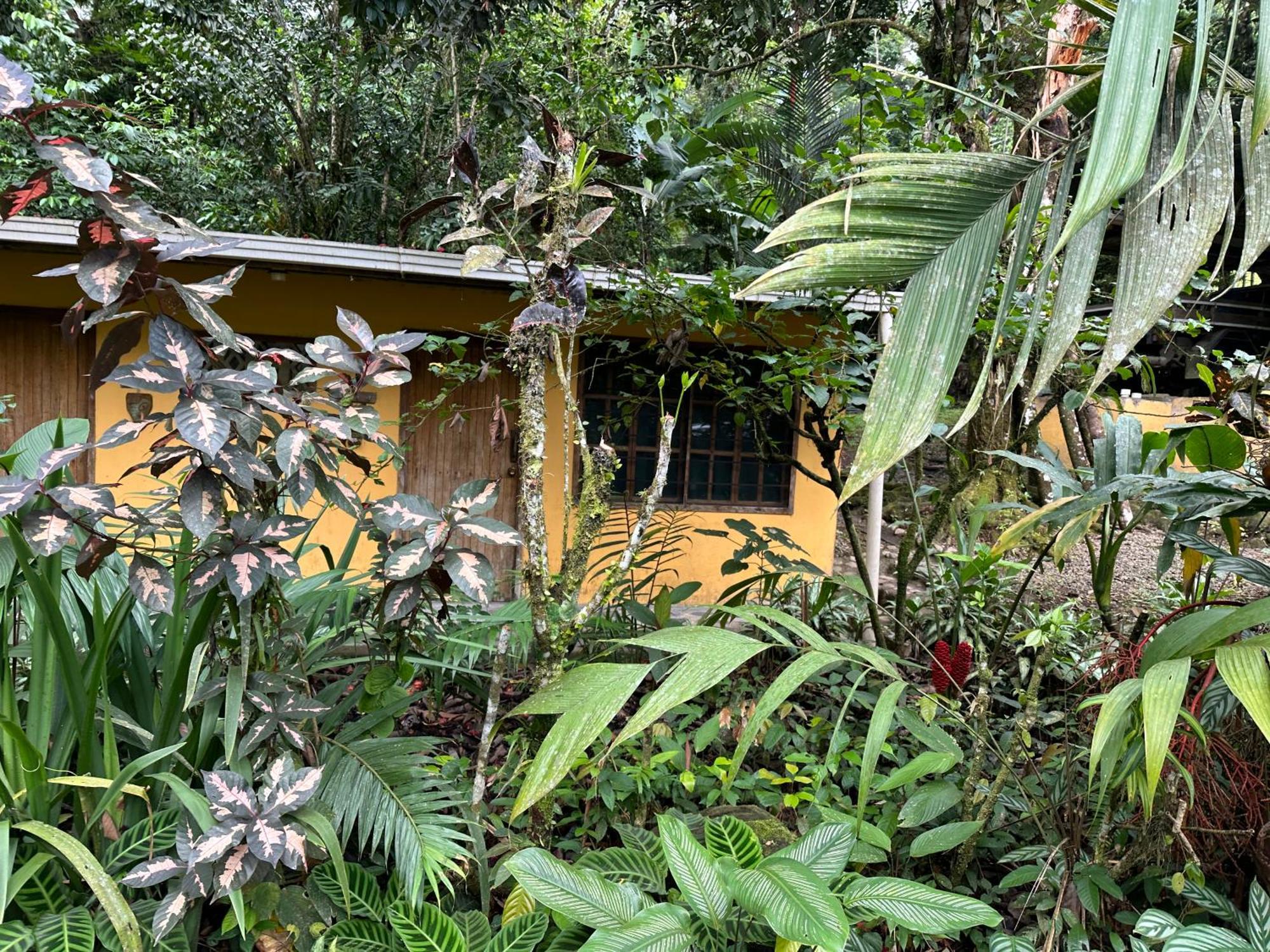 Casa Rio Blanco Eco Friendly B&B Guápiles Exterior foto