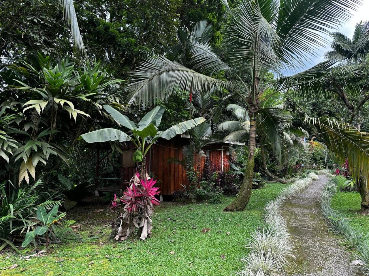 Casa Rio Blanco Eco Friendly B&B Guápiles Exterior foto